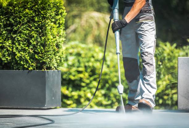 Best Restaurant Pressure Washing  in Fairmont, IL